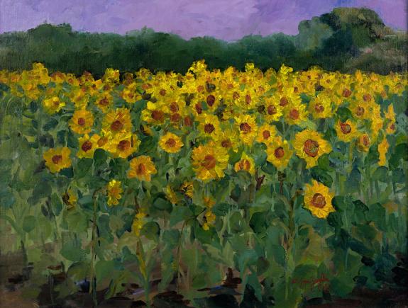 Sunflowers